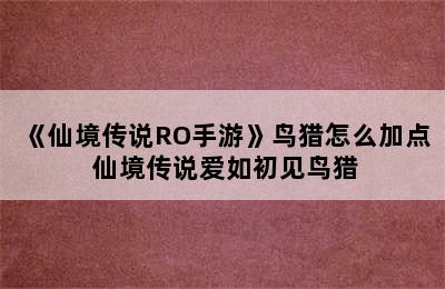 《仙境传说RO手游》鸟猎怎么加点 仙境传说爱如初见鸟猎